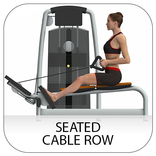 Seated cable row